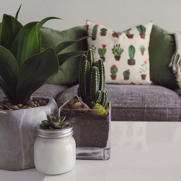 Meet your Posher, Sarah - Picture 1 of 1